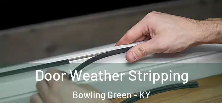  Door Weather Stripping Bowling Green - KY