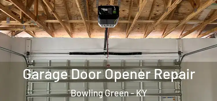  Garage Door Opener Repair Bowling Green - KY