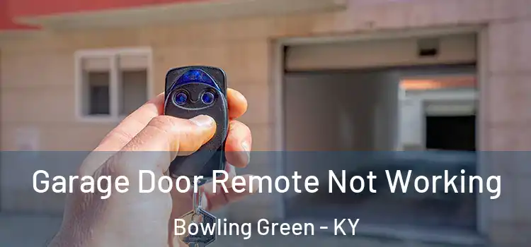  Garage Door Remote Not Working Bowling Green - KY