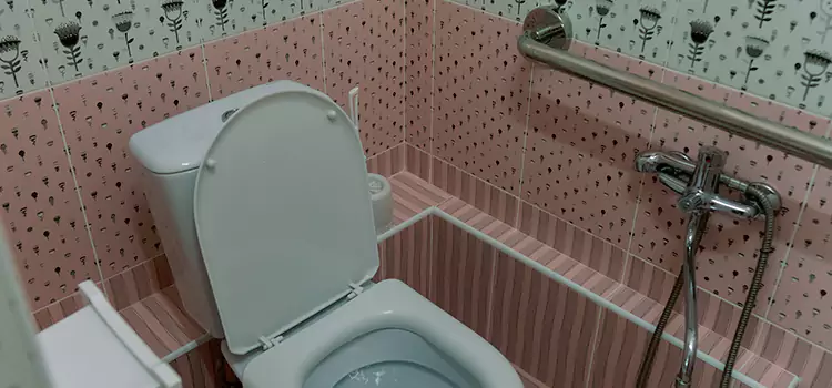 Meeting Diverse Needs With Accessible Restroom Solutions in Bowling Green, KY