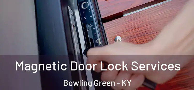 Magnetic Door Lock Services Bowling Green - KY